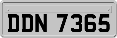 DDN7365