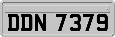 DDN7379