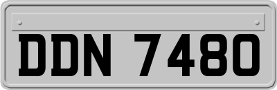 DDN7480