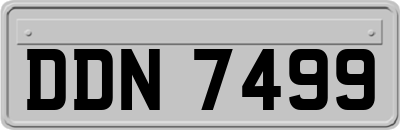 DDN7499