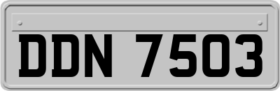 DDN7503