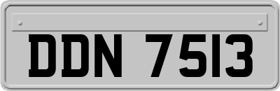 DDN7513