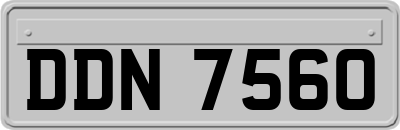 DDN7560