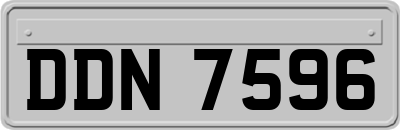 DDN7596
