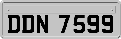 DDN7599