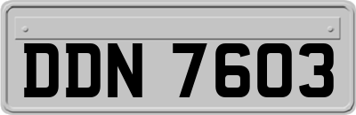 DDN7603