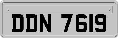 DDN7619