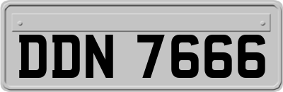 DDN7666