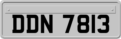 DDN7813