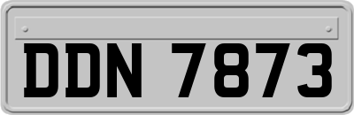 DDN7873