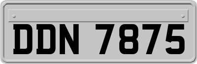 DDN7875
