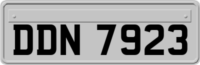 DDN7923