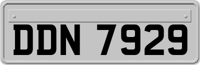 DDN7929