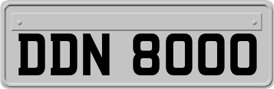 DDN8000