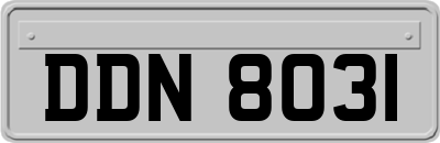 DDN8031