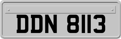 DDN8113