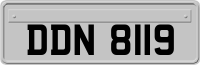 DDN8119