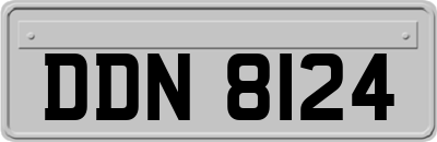 DDN8124