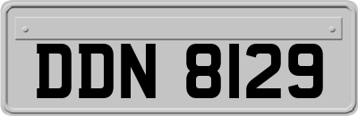 DDN8129