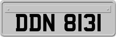 DDN8131