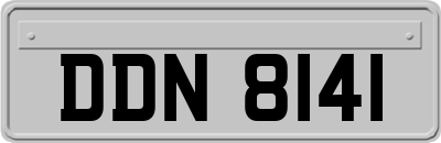 DDN8141