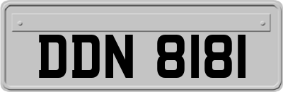 DDN8181