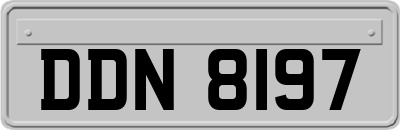 DDN8197