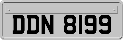 DDN8199