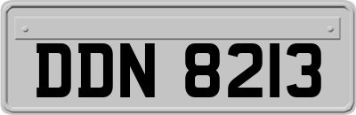 DDN8213