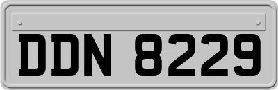 DDN8229