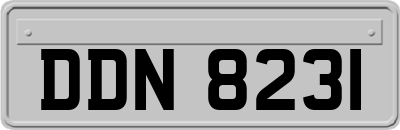 DDN8231