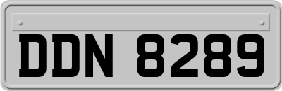 DDN8289