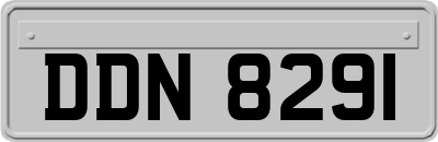 DDN8291