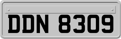 DDN8309