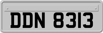 DDN8313