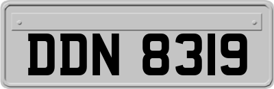 DDN8319