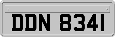 DDN8341