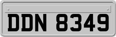 DDN8349