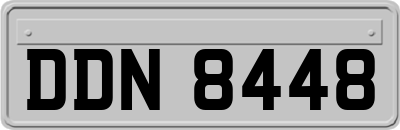 DDN8448