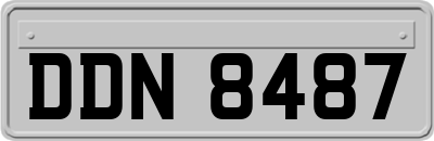 DDN8487