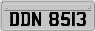 DDN8513