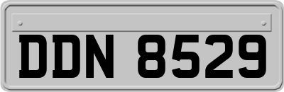 DDN8529