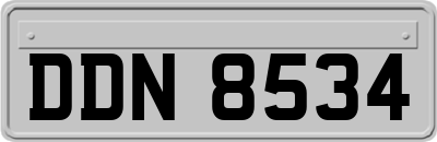 DDN8534