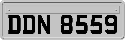 DDN8559
