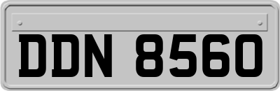 DDN8560