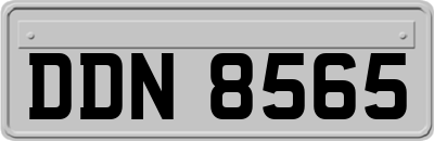 DDN8565