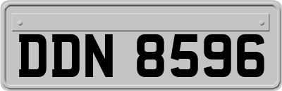 DDN8596