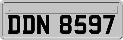 DDN8597
