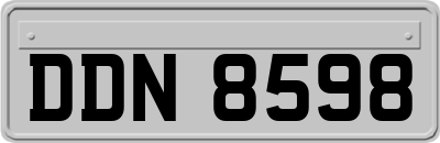 DDN8598