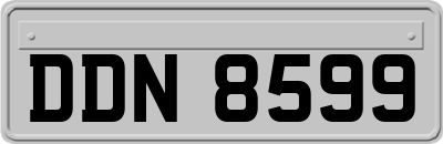 DDN8599